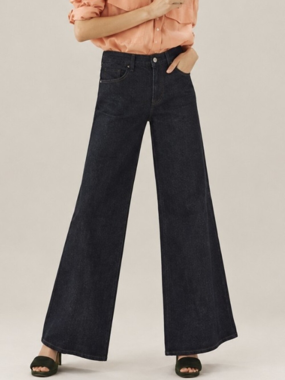 PILCRO Anthropologie The Gwen Wide-Leg Jeans Black Denim Size 27